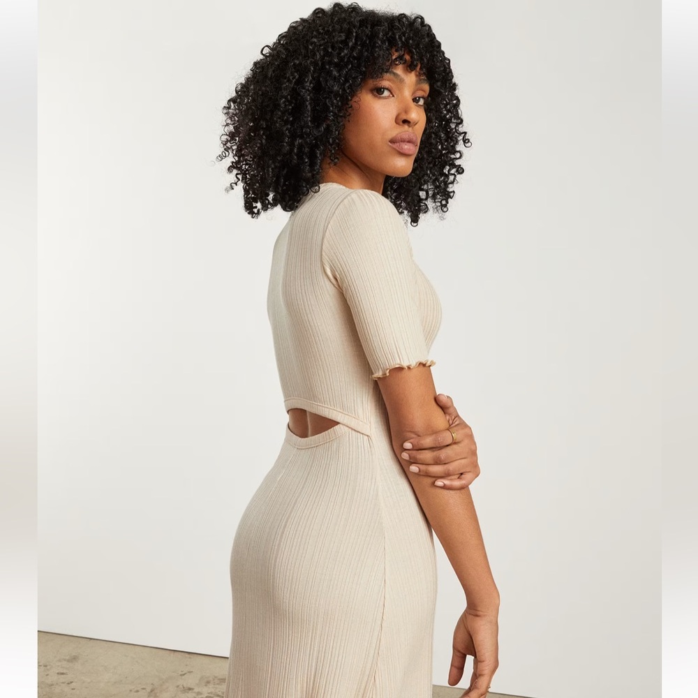 NWT Everlane Cutout Dress - Picture 2 of 13